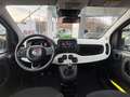 Fiat Panda 1.0 FireFly S&S Hybrid Pandina Bianco - thumbnail 8