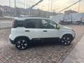 Fiat Panda 1.0 FireFly S&S Hybrid Pandina Bianco - thumbnail 4