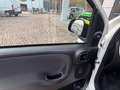 Fiat Panda 1.0 FireFly S&S Hybrid Pandina Bianco - thumbnail 11
