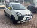 Fiat Panda 1.0 FireFly S&S Hybrid Pandina Bianco - thumbnail 3
