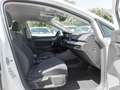 Volkswagen Golf 1.4 eHybrid STYLE IQ.LIGHT SITZHZ PDC LM17 Weiß - thumbnail 4