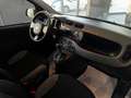 Fiat Panda Panda 1.0 firefly hybrid s Gris - thumbnail 14