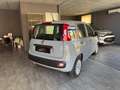 Fiat Panda Panda 1.0 firefly hybrid s Gris - thumbnail 5