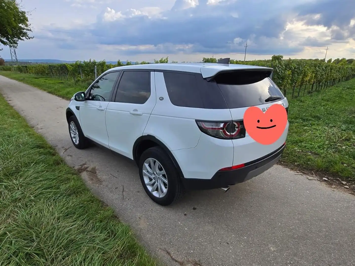 Land Rover Discovery Sport Discovery Sport D150 4WD Aut. SE SE Weiß - 2