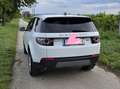 Land Rover Discovery Sport Discovery Sport D150 4WD Aut. SE SE Weiß - thumbnail 1