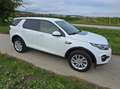 Land Rover Discovery Sport Discovery Sport D150 4WD Aut. SE SE Weiß - thumbnail 6