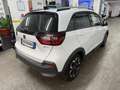 Honda Jazz Jazz Crosstar 1.5 hev Executive ecvt Bianco - thumbnail 14