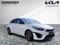 Kia Ceed / cee'd CEED GT-Line 1.5T Glasdach+LED+Kamera+Navi Bianco - thumbnail 7