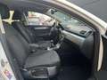 Volkswagen Passat Variant 2.0 TDI 140 Advance BMotion Tech Blanco - thumbnail 19