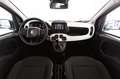 Fiat Panda Hybrid 70  Pandina Schwarz - thumbnail 5