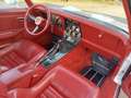 Chevrolet Corvette coupe 1981 V8 5.7L 190cv. - thumbnail 15