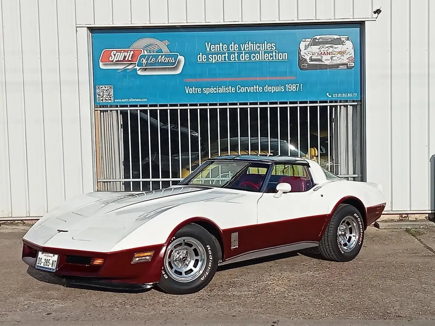 Chevrolet Corvette coupe 1981 V8 5.7L 190cv. - 2