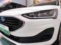 Ford Focus 4ª serie - Focus 1.5 EcoBlue 120 CV SW Business Bianco - thumbnail 19