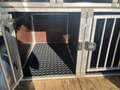 Renault Trafic II FL-DK Silber - thumbnail 22