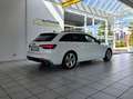 Audi A4 Avant 40 TDI quattro S-Line LED ACC Ambiente Weiß - thumbnail 7