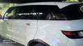 Land Rover Range Rover Evoque 5p 2.2 td4 Launch edition 150cv - thumbnail 6