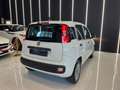 Fiat Panda 1.2 Trussardi 69cv OK NEOPATENTATI 45.000Km Bianco - thumbnail 6