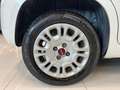 Fiat Panda 1.2 Trussardi 69cv OK NEOPATENTATI 45.000Km Bianco - thumbnail 7