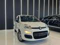 Fiat Panda 1.2 Trussardi 69cv OK NEOPATENTATI 45.000Km Bianco - thumbnail 1