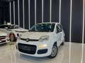 Fiat Panda 1.2 Trussardi 69cv OK NEOPATENTATI 45.000Km Bianco - thumbnail 3
