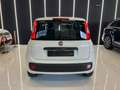 Fiat Panda 1.2 Trussardi 69cv OK NEOPATENTATI 45.000Km Bianco - thumbnail 5