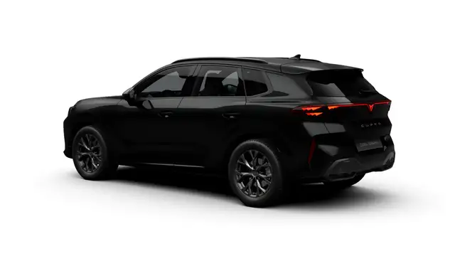 Cupra Terramar view 5