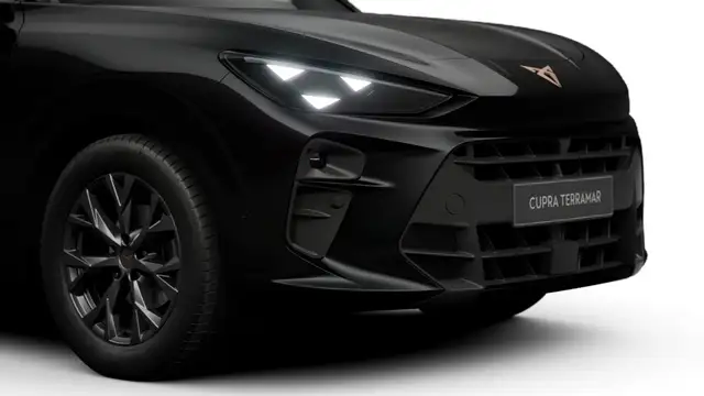Cupra Terramar view 8