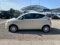 Lancia Ypsilon 1.2 69 CV 5 porte Gold Beige - thumbnail 8