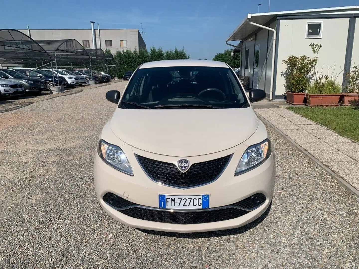 Lancia Ypsilon 1.2 69 CV 5 porte Gold Beige - 2