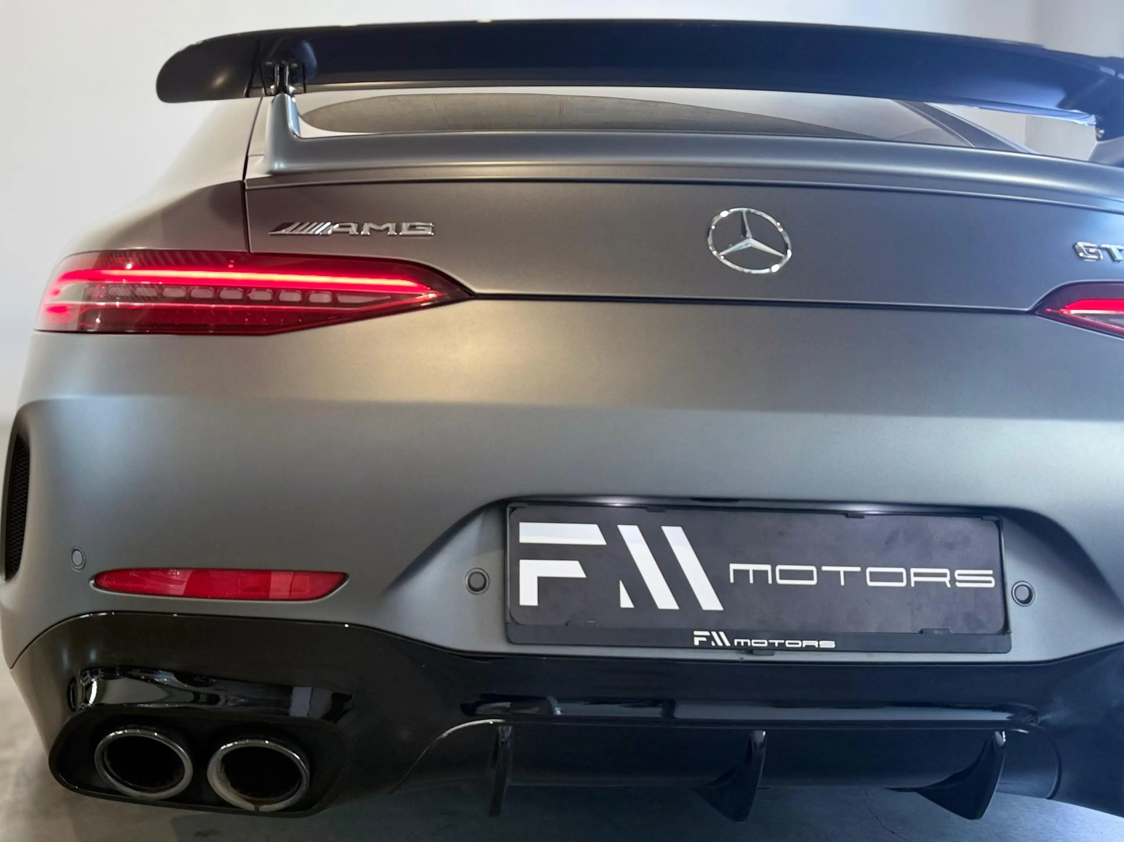 Mercedes-Benz AMG GT 53 4Matic  (290.661) — photo 13