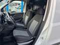 Fiat Doblo Easy Kasten MwSt. WENIG KM - sehr gepflegt - thumbnail 12