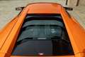 Lamborghini Murciélago Murcielago Coupe 6.2 Pomarańczowy - thumbnail 9