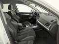 Audi Q5 35 TDI ultra quattro intense Weiß - thumbnail 10
