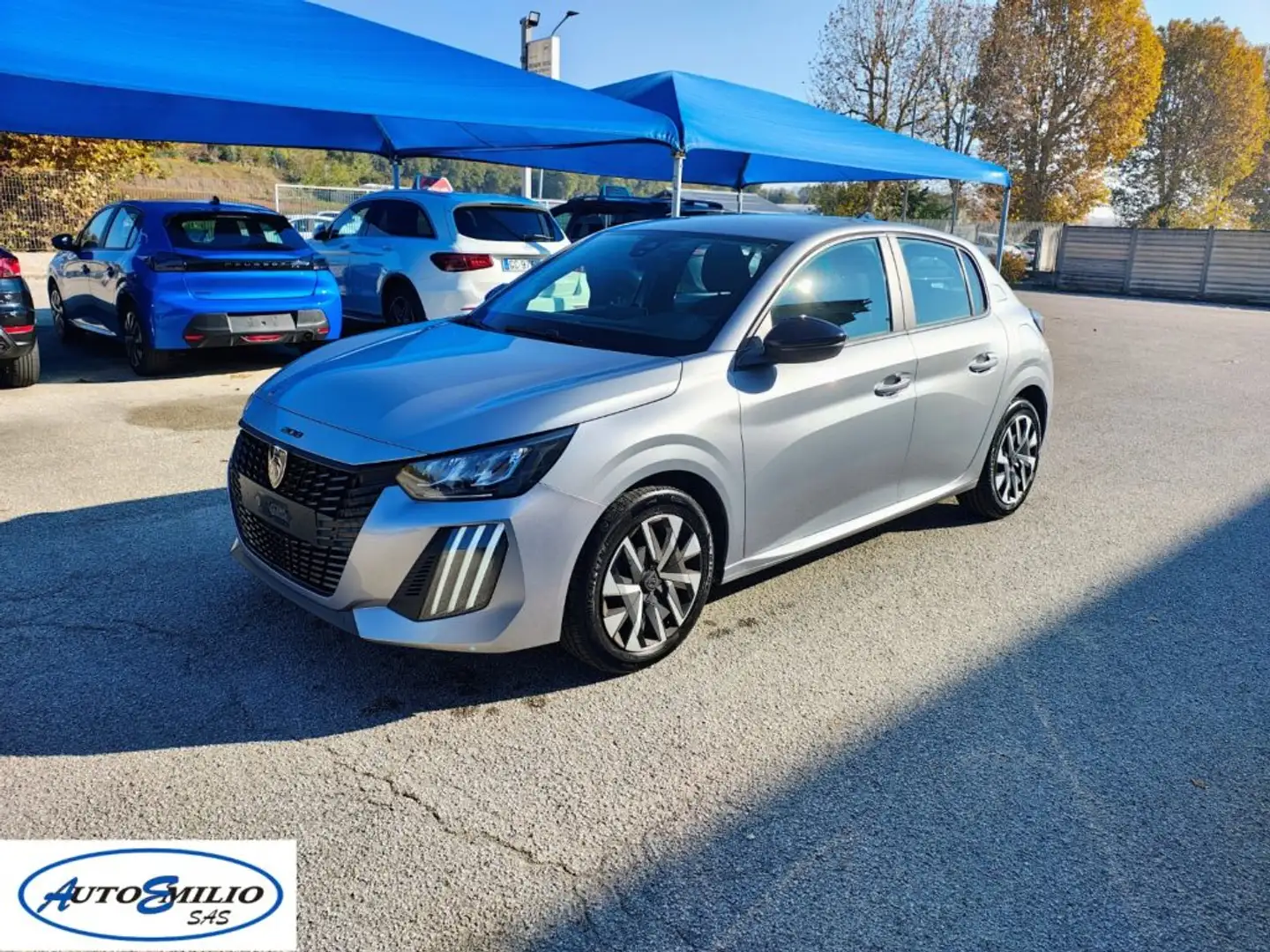 Peugeot 208 PureTech 100 Stop&Start 5 porte Active Grigio - 1
