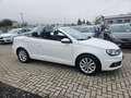 Volkswagen Eos Basis - thumbnail 13