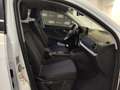 Audi Q2 Q2 30 TDI Admired Advanded Wit - thumbnail 14