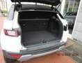 Land Rover Range Rover Evoque 2.0 td4 Business 150cv auto my 2019 Bianco - thumbnail 8