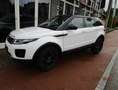 Land Rover Range Rover Evoque 2.0 td4 Business 150cv auto my 2019 Bianco - thumbnail 3