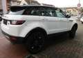 Land Rover Range Rover Evoque 2.0 td4 Business 150cv auto my 2019 Bianco - thumbnail 4