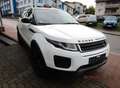Land Rover Range Rover Evoque 2.0 td4 Business 150cv auto my 2019 Bianco - thumbnail 1