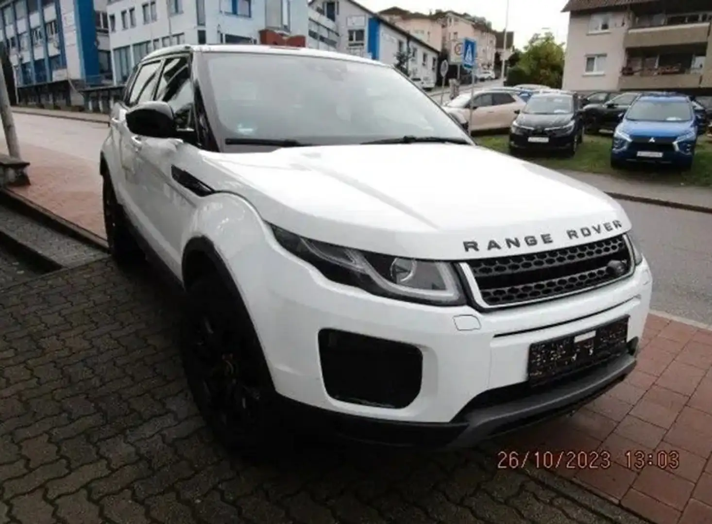 Land Rover Range Rover Evoque 2.0 td4 Business 150cv auto my 2019 Bianco - 1