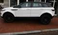 Land Rover Range Rover Evoque 2.0 td4 Business 150cv auto my 2019 Bianco - thumbnail 7