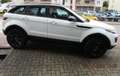 Land Rover Range Rover Evoque 2.0 td4 Business 150cv auto my 2019 Bianco - thumbnail 6