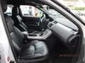 Land Rover Range Rover Evoque 2.0 td4 Business 150cv auto my 2019 Bianco - thumbnail 10