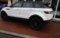 Land Rover Range Rover Evoque 2.0 td4 Business 150cv auto my 2019 Bianco - thumbnail 5