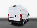 Fiat Ducato Maxi L2H2 103 kW, 4-türig Techno-Paket CARP Blanco - thumbnail 3
