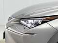 Lexus NX 300h AWD President Line Grau - thumbnail 4