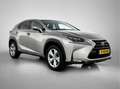 Lexus NX 300h AWD President Line Grau - thumbnail 16