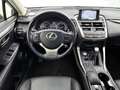 Lexus NX 300h AWD President Line Grau - thumbnail 48