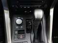 Lexus NX 300h AWD President Line Grau - thumbnail 21